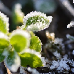 2016-12 France/St Malo/DSC_1056.JPG